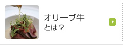 オリーブ牛とは？