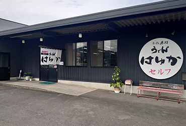 Photo: Authentic handmade udon self Hayuka