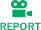 REPORT