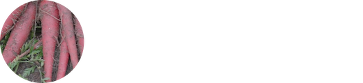 香川の野菜