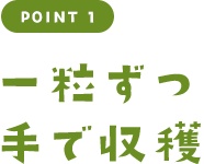 要点1手工收获