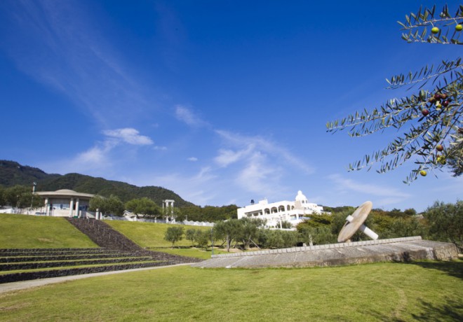 Store exterior and olive trees