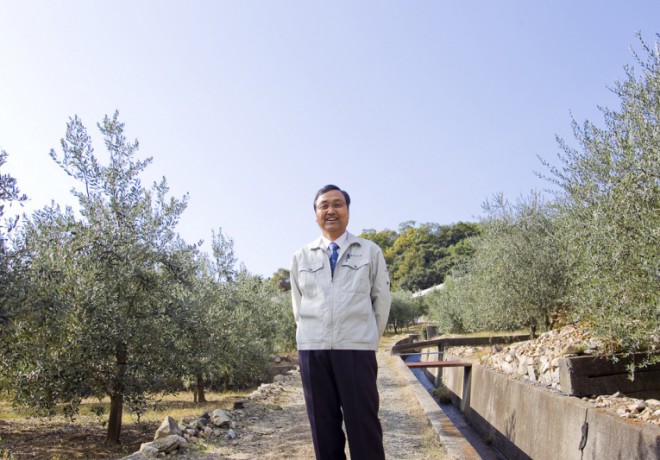 Olive tree and people