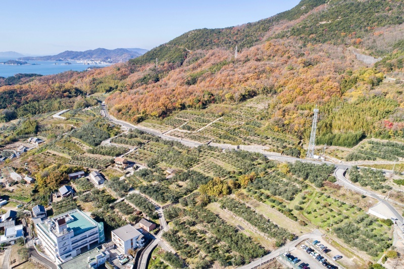 Landscape photograph of Shodoshima