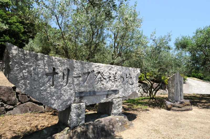 A stone monument and an olive tree that are the birthplace of olives