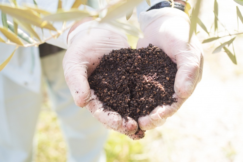 Photo of hand holding soil