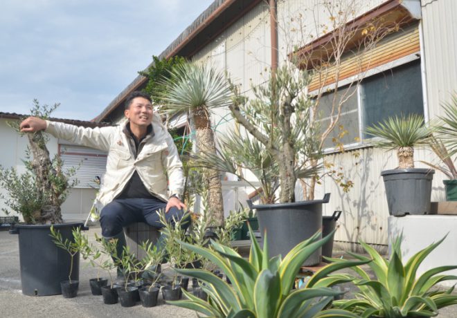 植物と男性の写真