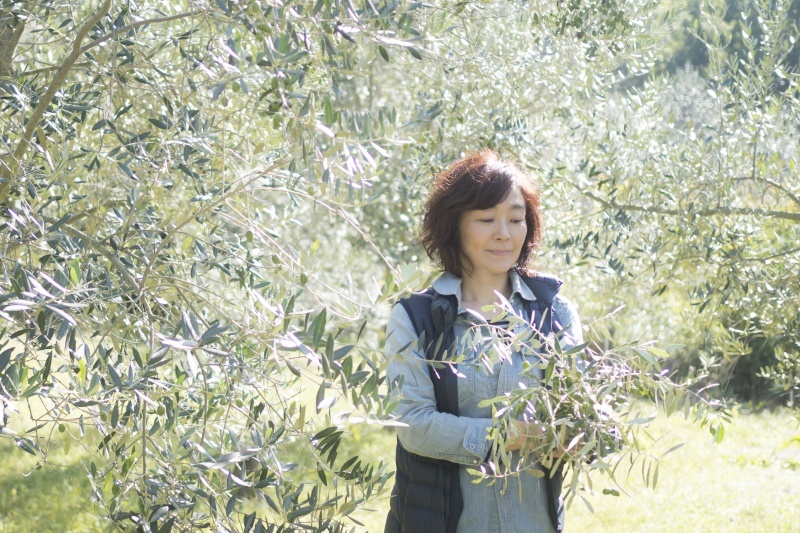 Olive tree and people