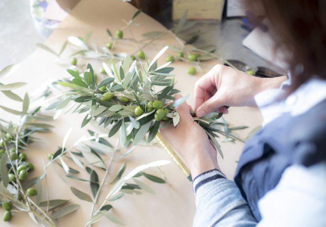 Picking up an olive leaf