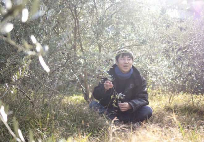 Photo of olive tree and smiling man