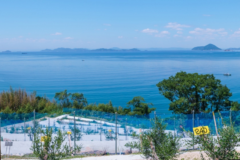 海が広がる風景写真