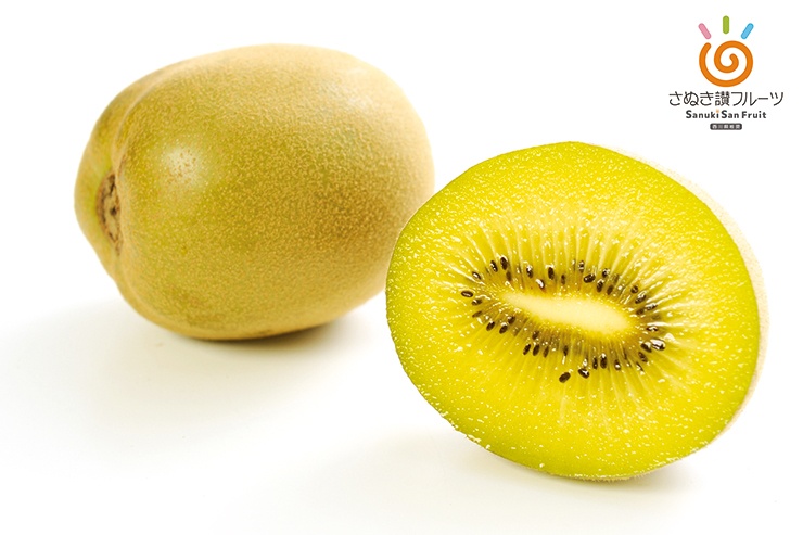 Sanuki Gold Kiwifruit | LOVE Sanuki-san