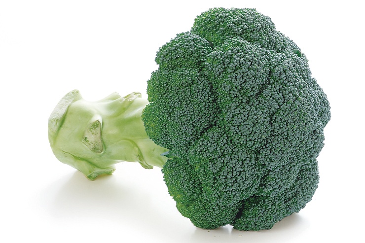 Broccoli photo