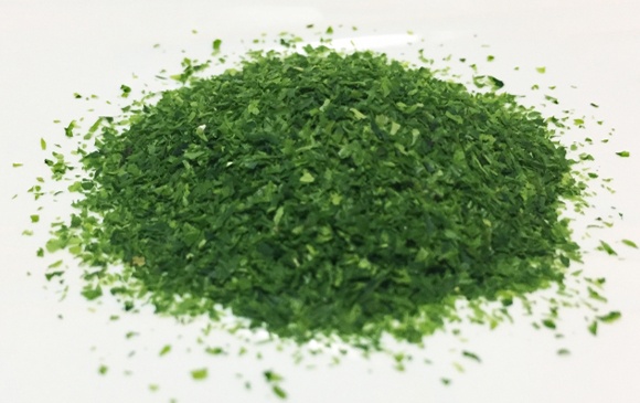 Photo of green laver