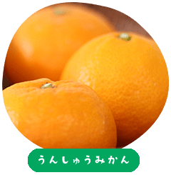 Unshu Mandarin Oranges