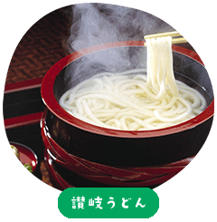 Sanuki Udon Noodles