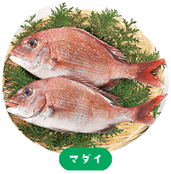 Red seabream