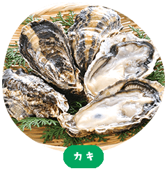 Oyster