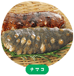 Sea cucumber