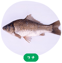 Cru魚