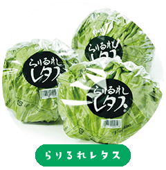 Rarirure lettuce