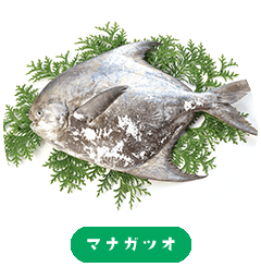 Pomfret