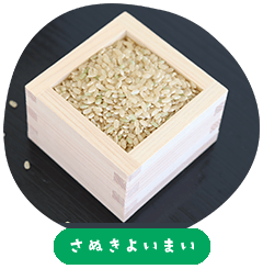 Sanuki Yoimai Rice