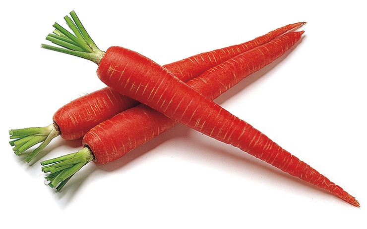 Photo of carrots at the time of gold