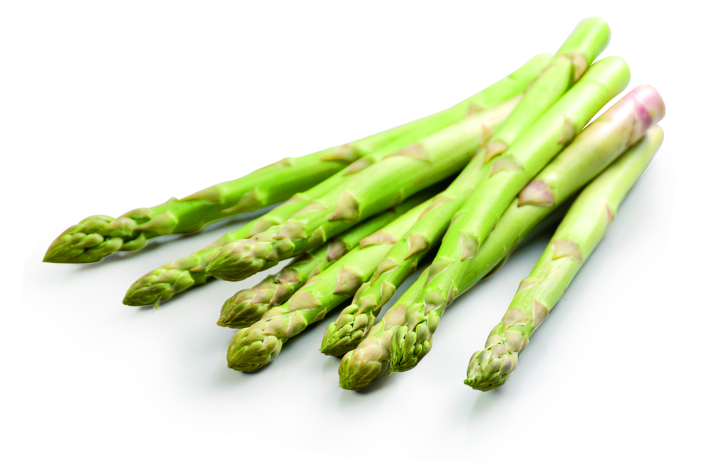 Photograph of asparagus (Sanuki no Awakening)