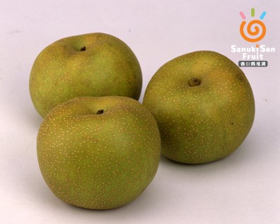 Photo of pear (Kosui / Hosui)