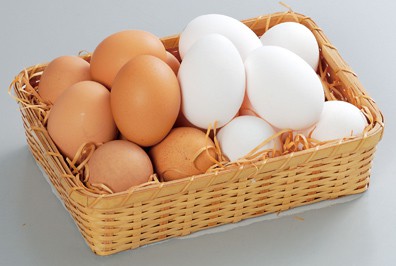 Chicken egg photo