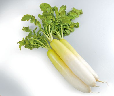 Radish photo