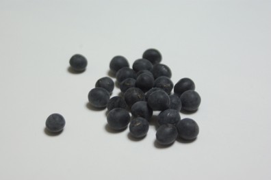 Photograph of black beans (Kagawa Black No. 1)