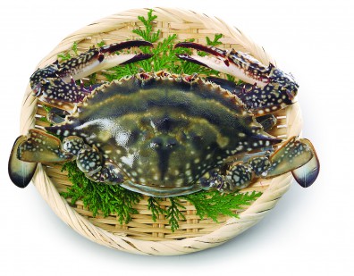 Photo of crab