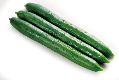 Cucumber photo