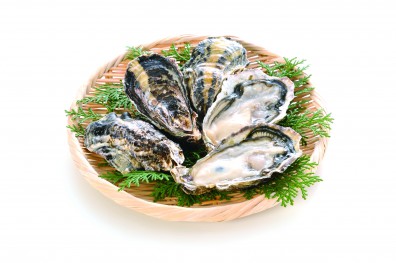 Oyster photo