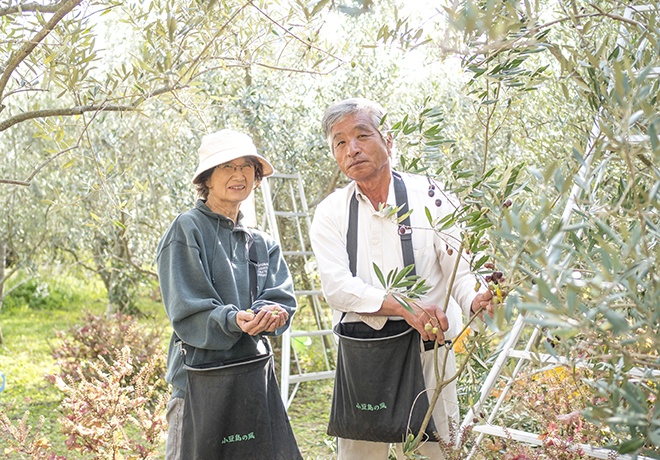 オリーブの木と笑顔の男性と女性の写真