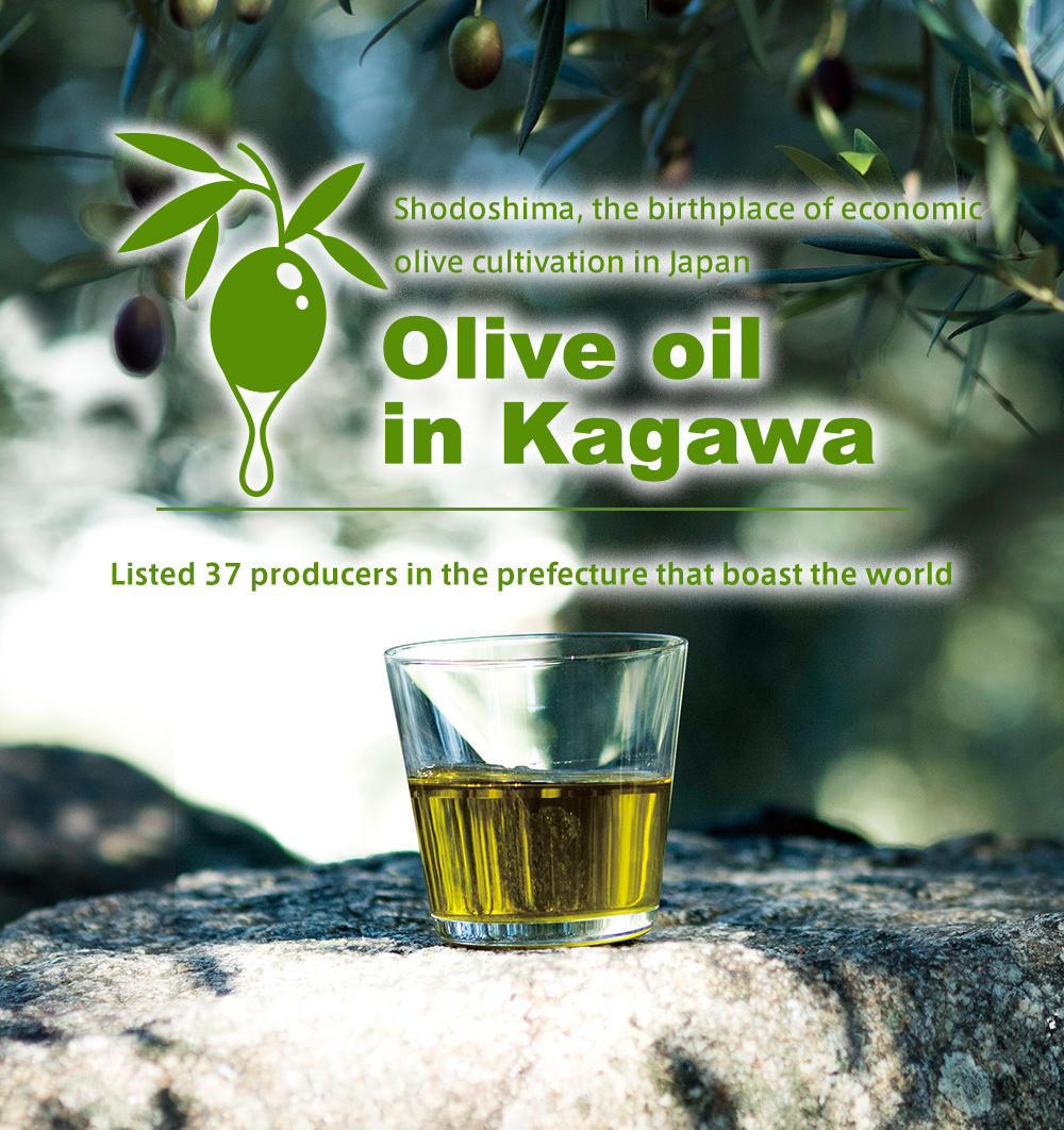 "Shodoshima", the birthplace of Japanese olive economic cultivation Listed by 34 world-class producers of olive oil in Kagawa Prefecture