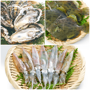 Local fish in winter Kagawa Prefecture products