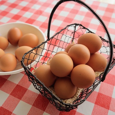 가가와현 산품 닭 계란