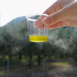 Olive oil from Kagawa prefecture