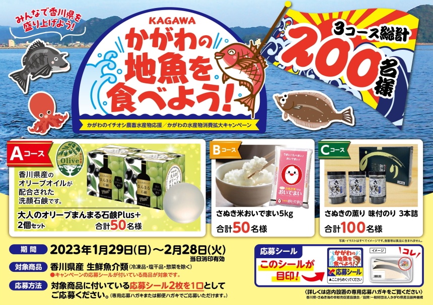 かがわの地魚を食べようCP