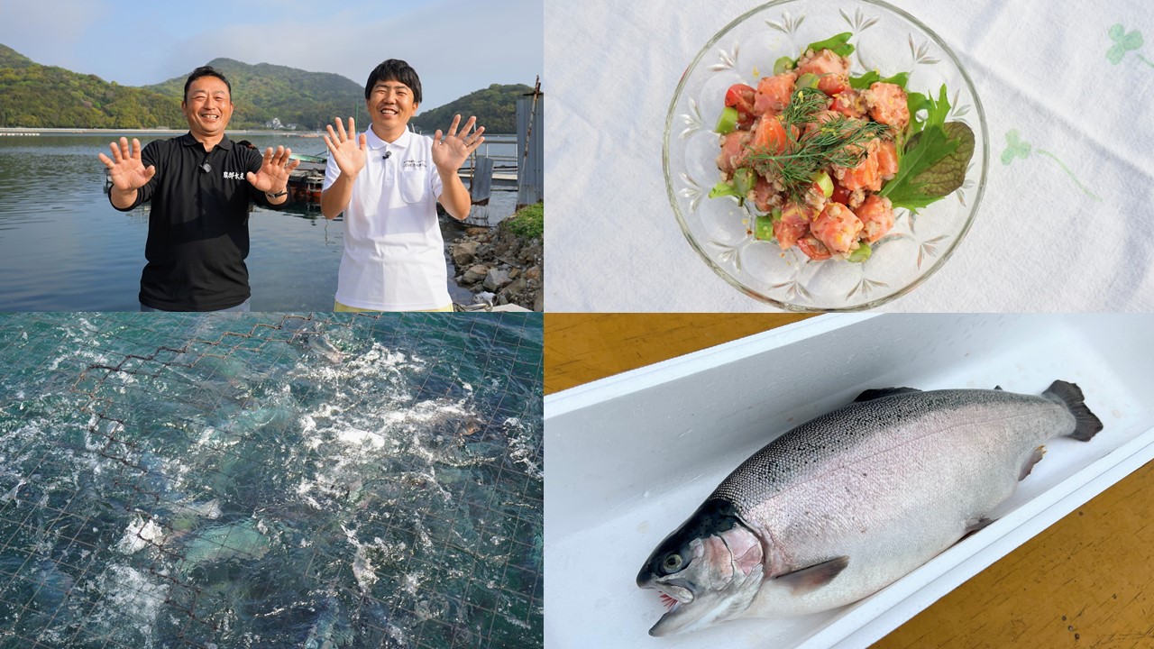オリーブサーモン