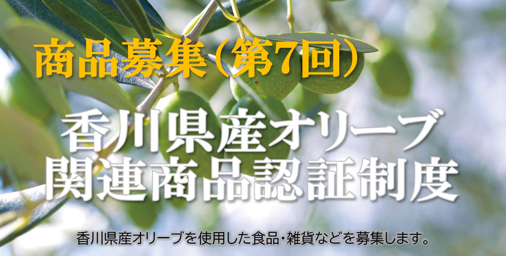 第７回オリーブ関連商品募集メインビジュアル