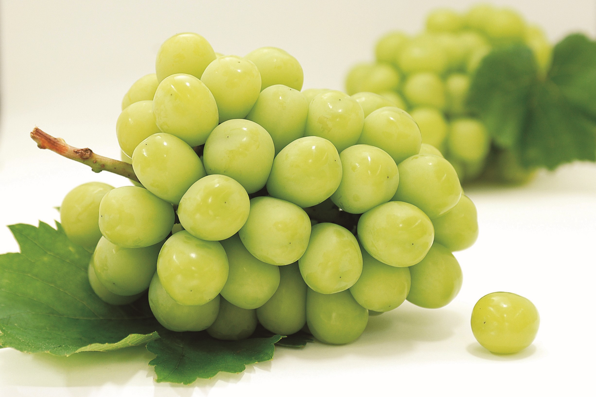 シャインマスカット